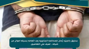 سائق بالجيزة يُحال للمحاكمة الجنائية بعد اتهامه بسرقة أموال من شركة.. تعرف على التفاصيل